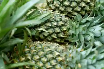 서울 강남 연세대학교 의과대학 강남세브란스병원 예약 방법 및 전문의 추천 | 진료시간, 일요일, 공휴일, 종합병원, 2025