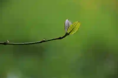 일본 여행 필수 어플 10선: 준비 단계별 추천 앱 리스트