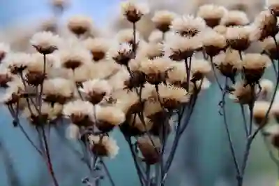 카드론과 신용대출 비교: 무엇이 더 유리할까?