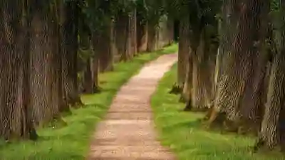 파일이즈 무료 쿠폰, 힐링의 길을 열다!