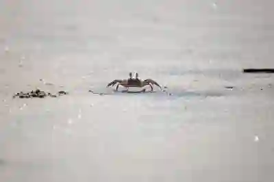 표적항암치료와 건강보험: 자세히 비교해보아요