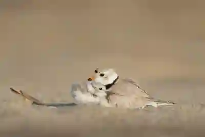 육아휴직 정책 변화와 지원 내용 알아보기