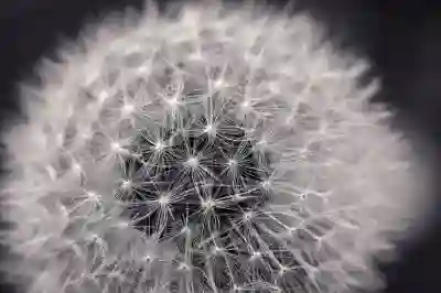 2026년 건강검진 미수검 시 부담해야 하는 벌금과 그 의미