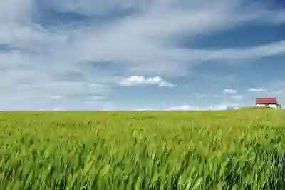 LG유플러스 요금제 비교 알뜰폰과의 차이점