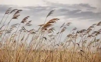 한진택배의 공휴일 서비스 완벽 가이드: 알아야 할 모든 것
