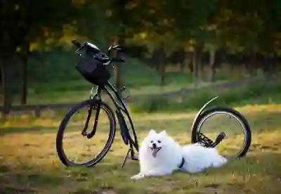 초보자를 위한 네이버 무료 사주 풀이 사이트 이용 가이드