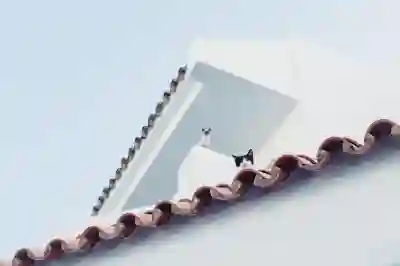 아기 요로감염 예방을 위한 가정에서의 관리법