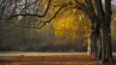 유니콘 VPN 다운로드 및 설치 시 유의점