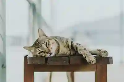 2026년 육아휴직 정책 변화와 지원 내용 완벽 정리