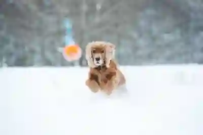 쿠팡플레이가 여는 스포츠 중계의 새로운 시대