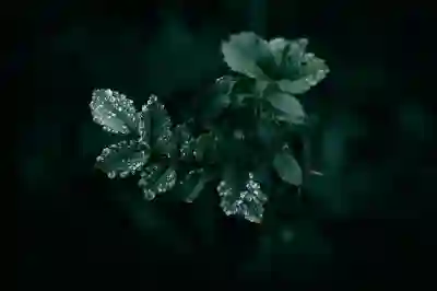 우리은행 적금 해지 완료 후 유의사항