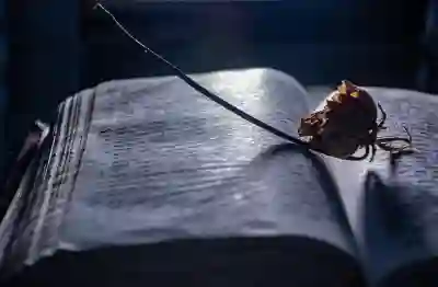 부가세 이해를 돕는 추천 도서 목록