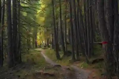 LGU+ 유튜브 프리미엄 할인 및 구독 방법