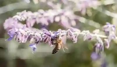 한국 속담의 의미와 해석: 이해하기 쉬운 100가지 소개