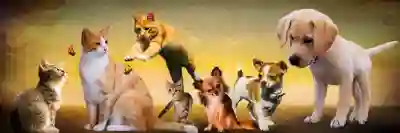 청년 일자리 도약 장려금 신청 전 알아야 할 모든 것