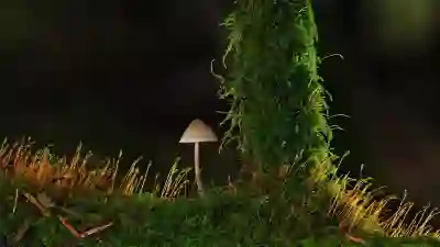 중소기업을 위한 부가세 세액 계산 방법 완전 가이드