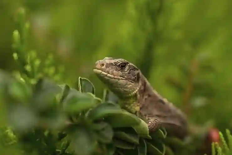 애플워치 SE2 운동 기록 누락? 원인과 해결법!