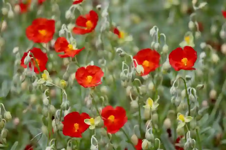 갤럭시 탭 A9+ 앱 설치 안됨? 권한 확인 필수!