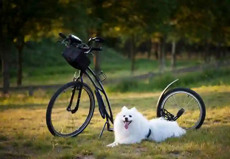 갤럭시탭이 너무 느려졌다면? 고장 전조 증상일 수 있어요