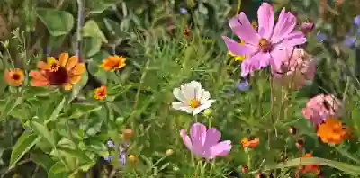 건강한 삶을 위한 국가건강검진의 중요성 살펴보기