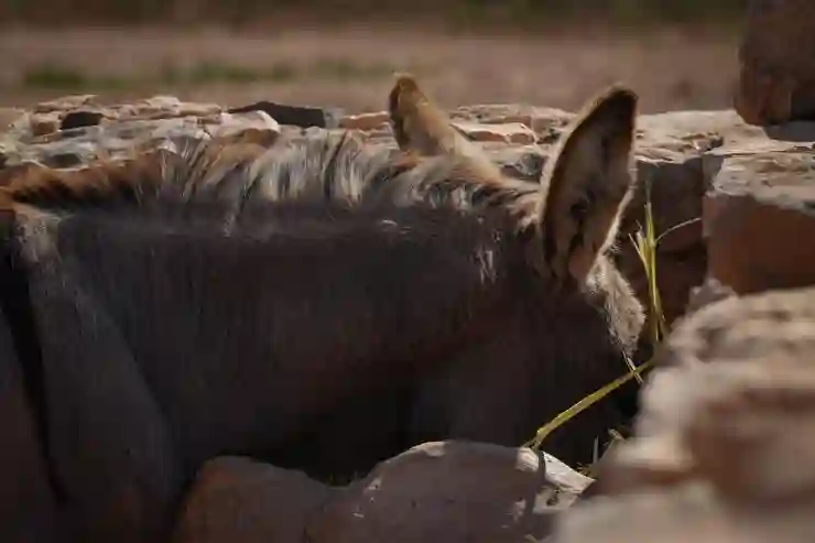 귀 염증 방치하면 청력 저하? 초기 증상과 대처법 정리!
