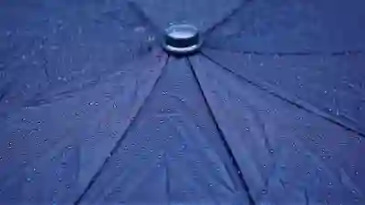 노란우산공제 가입 조건과 해지 절차 완벽 알아보기