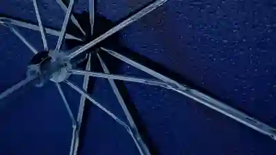 노란우산공제 가입조건과 혜택 알아보자