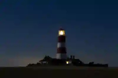 마이크로소프트 클립챔프 기본 사용법 알아보자