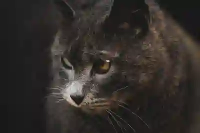 마티나 라운지와 스카이허브 라운지 비교해서 알아보자