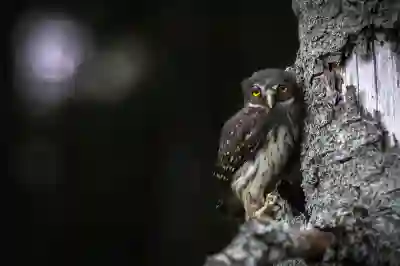 메리츠화재 고객센터 전화번호 및 긴급출동 서비스 알아보자