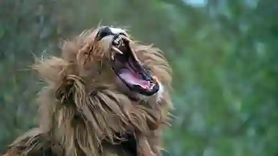 버거킹 배달 쿠폰 활용 꿀팁 알아보자