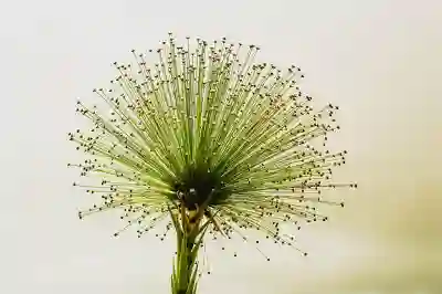 벤츠 서비스센터 전화번호 확인하고 예약하는 꿀팁