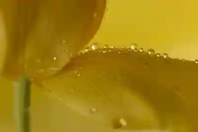 비과세 금융상품 가입 시 유의사항과 체크리스트 살펴보기