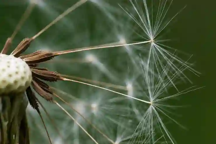 씨감자 심기, 이렇게 하면 수확 2배 늘어난다!