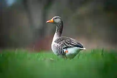 에이스손해보험 치아보험 혜택 살펴보자
