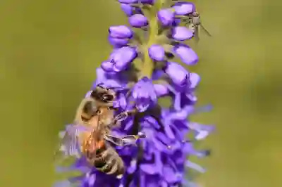 이사 준비를 위한 포장업체 선택 꿀팁