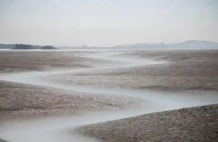 토스뱅크 체크카드로 네이버페이 결제하면 더 좋은 이유! 💳✨