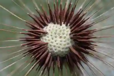 퇴직연금 수령 방법 알아보자