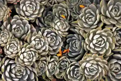 티빙 한 달 무료 이용권 신청 및 해지 방법 알아보자