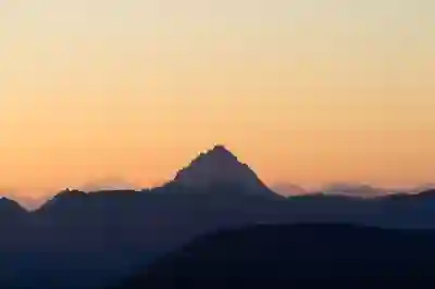 파일이즈 무료 쿠폰으로 힐링의 길을 여는 방법 살펴보기