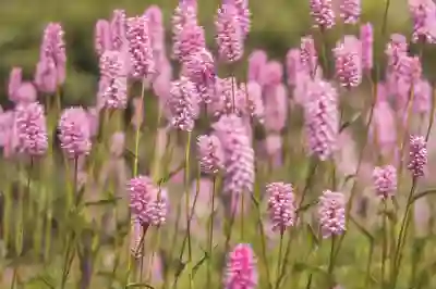 프로농구 중계의 새로운 패러다임 알아보기