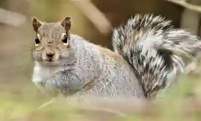 대성 보일러 AS 서비스 예약하는 방법 알아보자