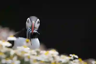 미니건조기 활용법과 선택 꿀팁 알아보자