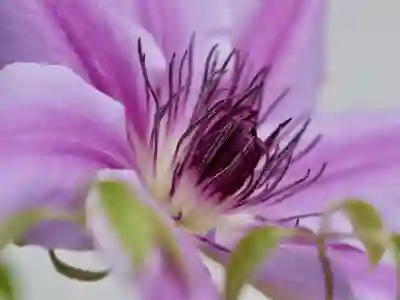 삼성 시스템 에어컨 시원한 바람이 안 나오는 원인과 수리비용 알아보자