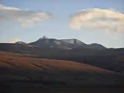 LG TV 리모컨 고장 원인과 수리비용 알아보자