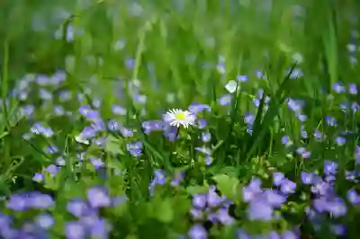 SL-M2035W 오프라인 연결 문제 해결을 위한 유용한 방법 살펴보기
