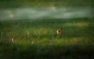경기도 밀워키 매장과 AS 고객센터 이용 꿀팁