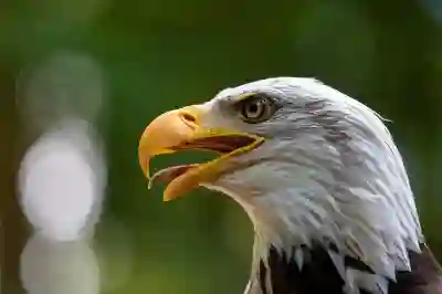 경동 나비엔 보일러 온수 문제 해결을 위한 4가지 방법 알아보자