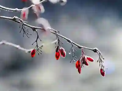 삼성 무선청소기 빨간불 원인과 수리비용 알아보자