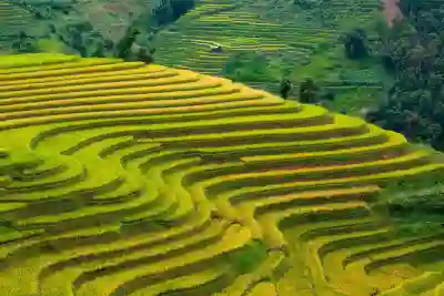 CRP-ST1010FW 밥 냄새 문제 해결하기 위한 완벽 가이드